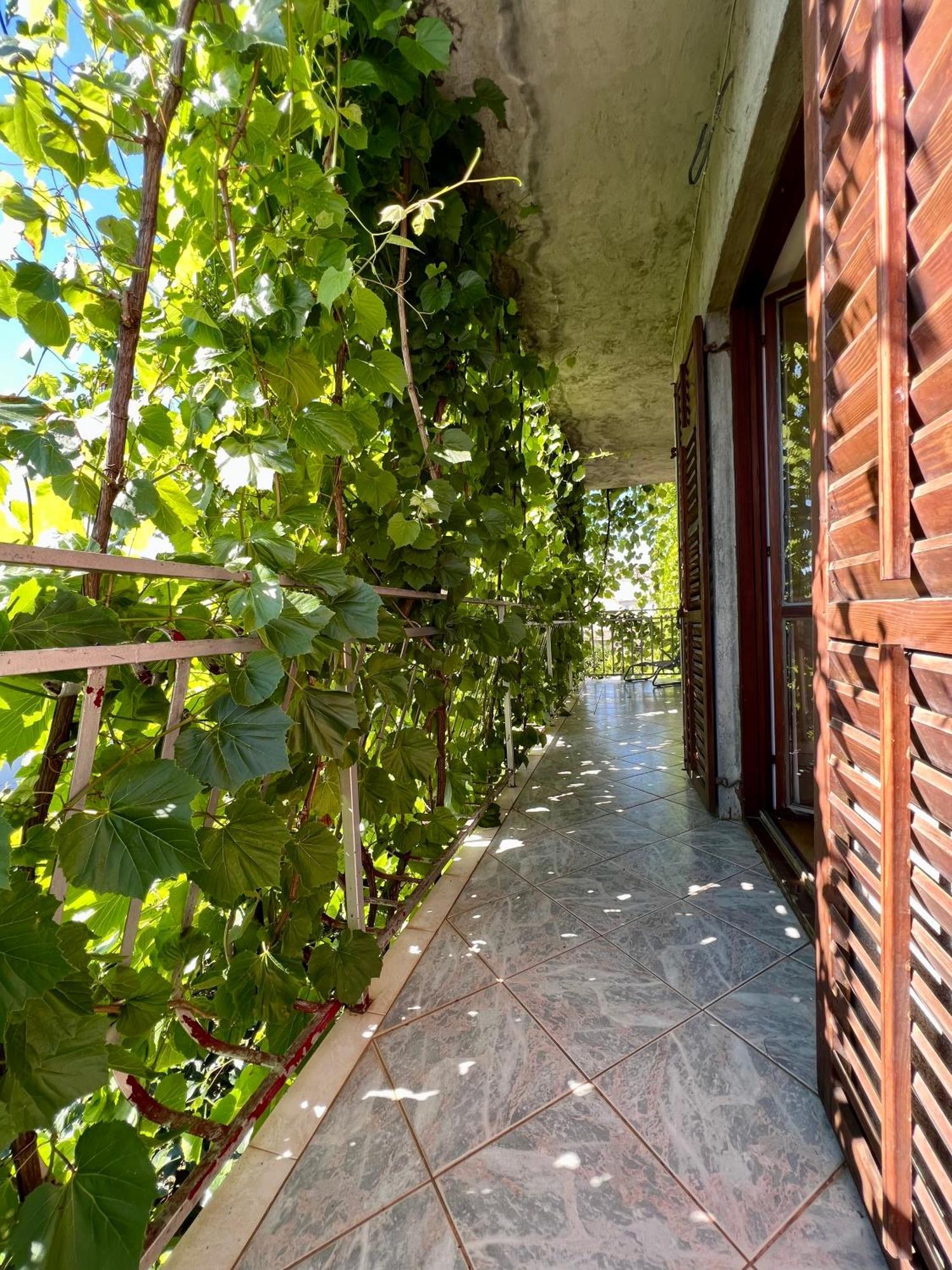 Vodice Center Apartments Rom bilde